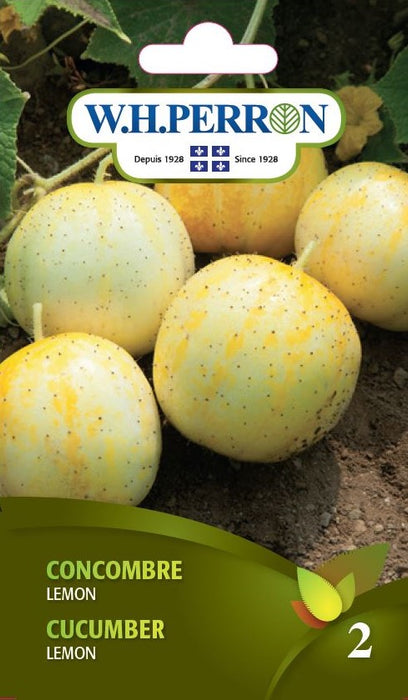 SEMENCES DE LEGUMES: CONCOMBRE - LEMON