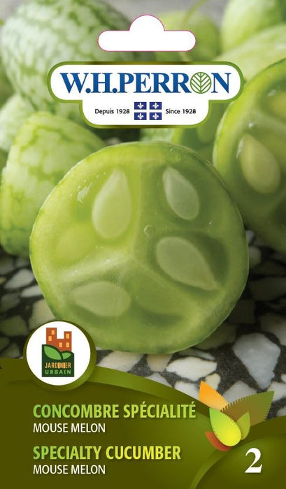 SEMENCES DE LEGUMES: CONCOMBRE SPÉCIALITE - MOUSE MELON