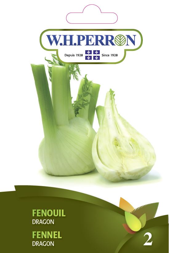 SEMENCES DE FINES HERBES: FENOUIL - DRAGON