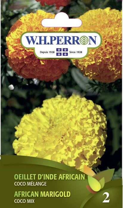 SEMENCES DE FLEURS: OEILLET D'INDE AFRICAIN - COCO MELANGE