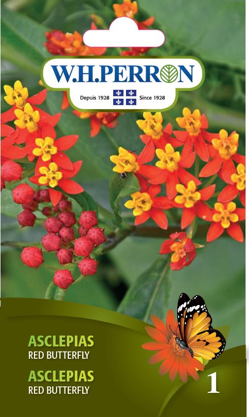 FLOWER SEEDS: ASCLEPIAS - RED BUTTERFLY