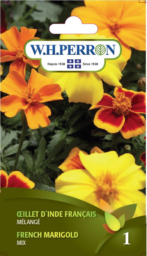 FLOWER SEEDS: FRENCH MARIGOLD - MIX