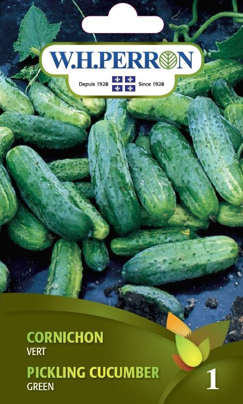 SEMENCES DE LEGUMES: CORNICHON - VERT