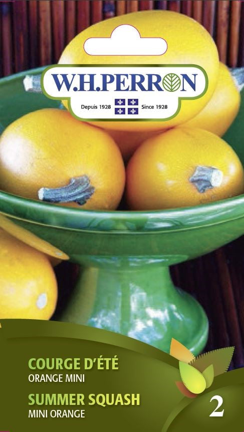 SEMENCES DE LEGUMES: COURGE D'ÉTÉ - SPAGHETTI ORANGE MINI