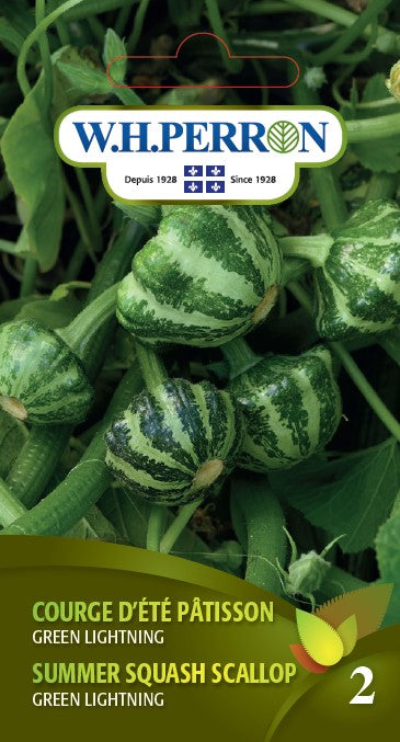 SEMENCES DE LEGUME: COURGE D'ÉTÉ PATISSON - LIGHTNING