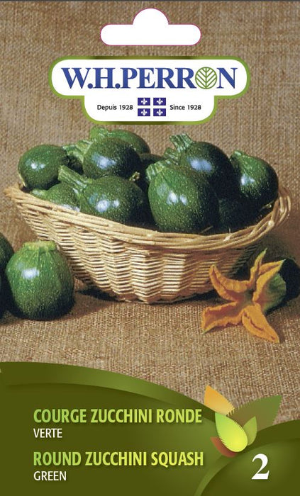 SEMENCES DE LEGUMES: COURGE ZUCCHINI RONDE - VERTE