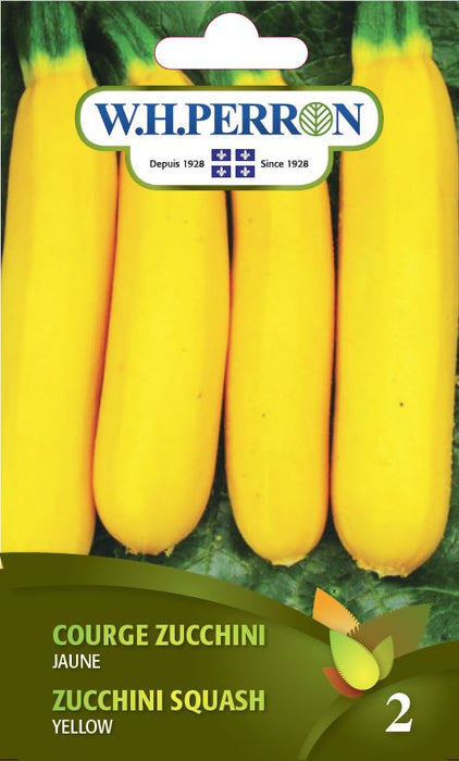 SEMENCES DE LEGUMES: COURGE ZUCCHINI - JAUNE