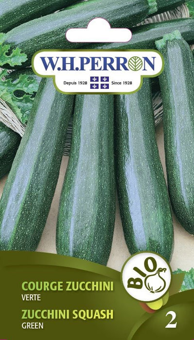 SEMENCES DE LEGUMES BIO: COURGE ZUCCHINI - VERTE