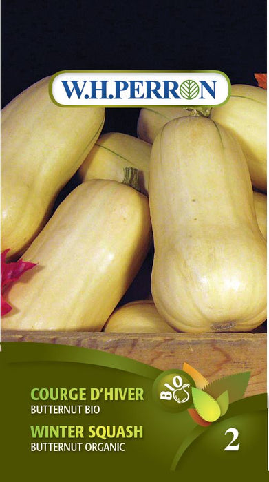 SEMENCES DE LEGUMES BIO: COURGE D'HIVER - BUTTERNUT