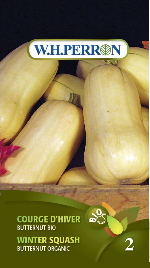 SEMENCES DE LEGUMES BIO: COURGE D'HIVER - BUTTERNUT