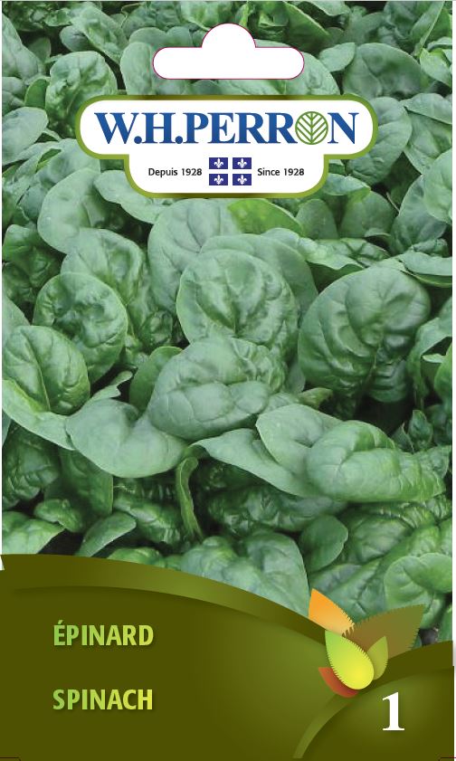 VEGETABLE SEEDS: SPINACH