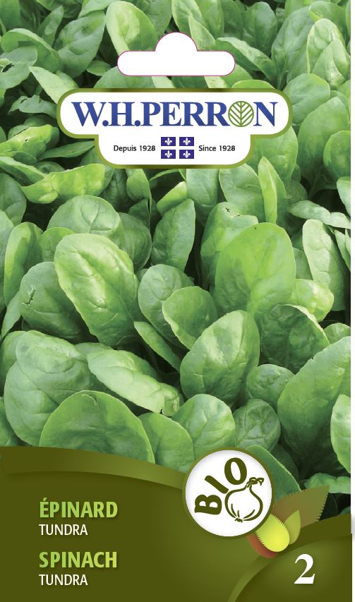ORGANIC VEGETABLE SEEDS: SPINACH - TUNDRA