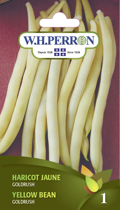 SEMENCES DE LEGUMES: HARICOT NAIN - JAUNE GOLD RUSH