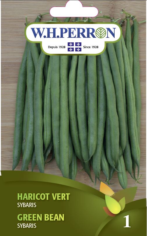 SEMENCES DE LEGUMES: HARICOT NAIN - VERT SYBARIS