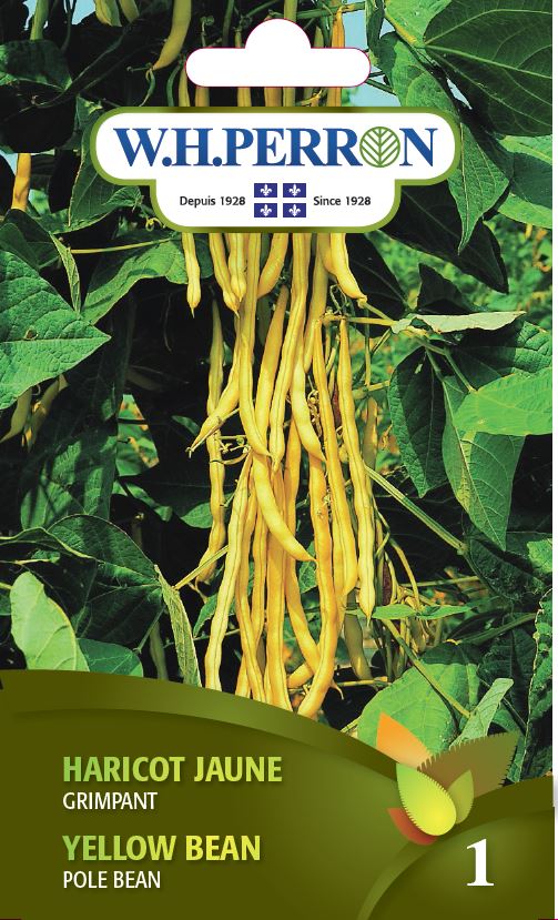 SEMENCES DE LEGUMES: HARICOT GRIMPANT JAUNE