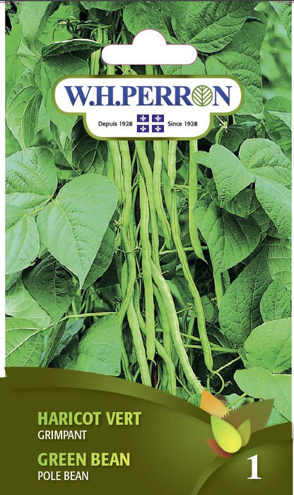 SEMENCES DE LEGUMES: HARICOT GRIMPANT VERT