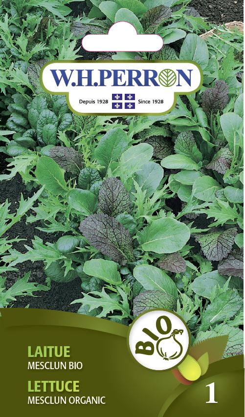 ORGANIC VEGETABLE SEEDS: LETTUCE - MESCLUN