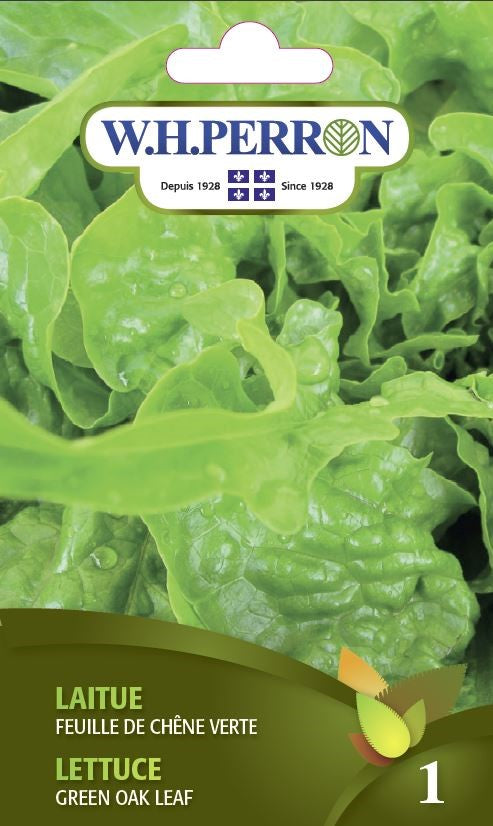SEMENCES DE LEGUMES: LAITUE - FEUILLE DE CHÊNE VERTE