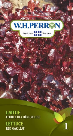 VEGETABLE SEEDS: LETTUCE - RED OAK LEAF