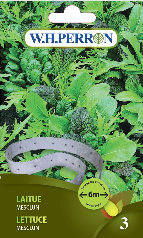 VEGETABLE SEEDS: LETTUCE STRIP - MESCLUN