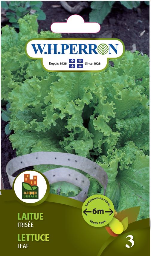 VEGETABLE SEEDS: LETTUCE TAPE - FRIZZY