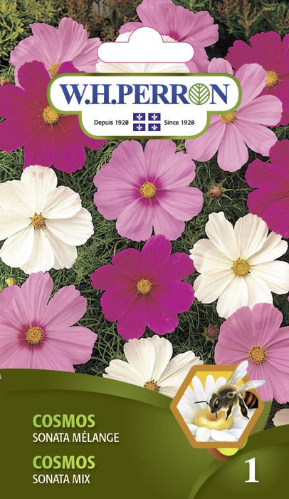 SEMENCES DE FLEURS: COSMOS - SONATA MÉLANGE
