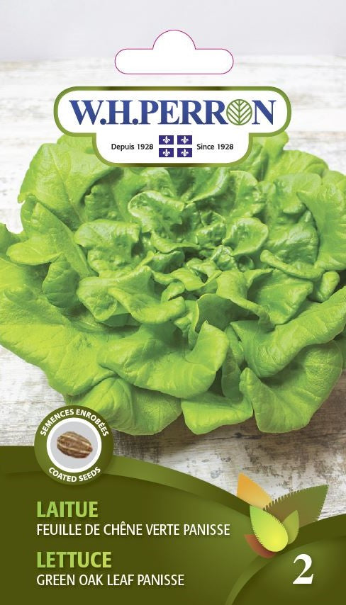 VEGETABLE SEEDS: LETTUCE - GREEN OAK LEAF PANISSE