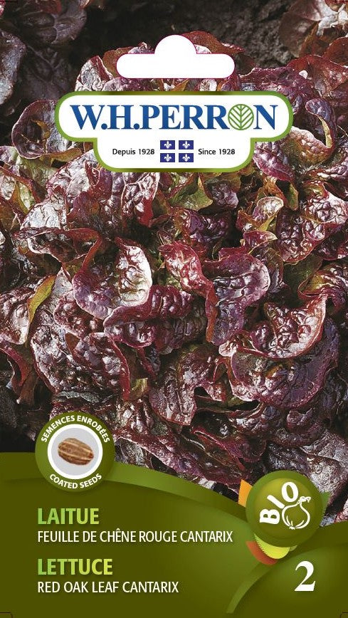ORGANIC VEGETABLE SEEDS: LETTUCE - RED OAK LEAF CANTARIX
