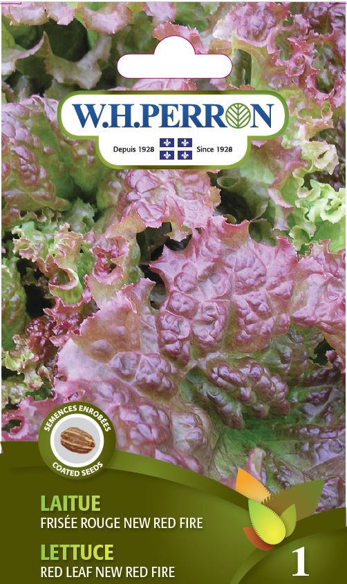 VEGETABLE SEEDS: LETTUCE - NEW RED FIRE FRILLY