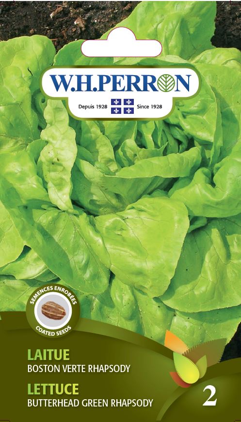 VEGETABLE SEEDS: LETTUCE - GREEN BOSTON RHAPSODY