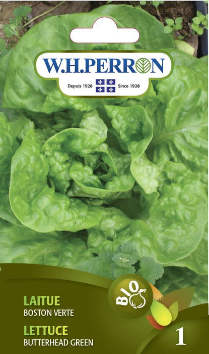 SEMENCES DE LEGUMES BIO: LAITUE - BOSTON VERTE
