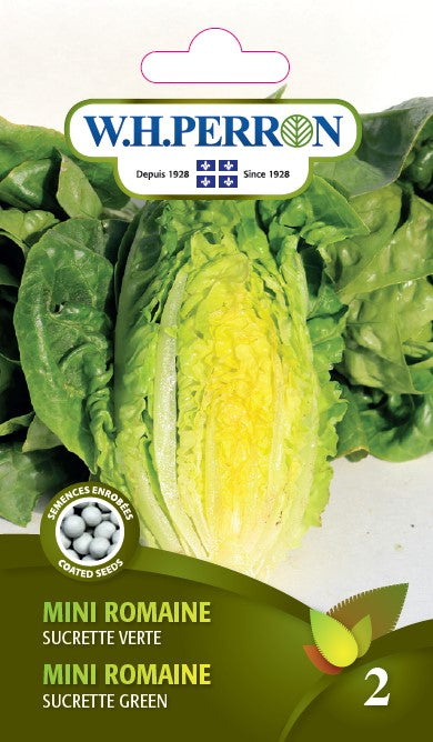 VEGETABLE SEEDS: ROMAINE (MINI) - SUCRETTE VERTE