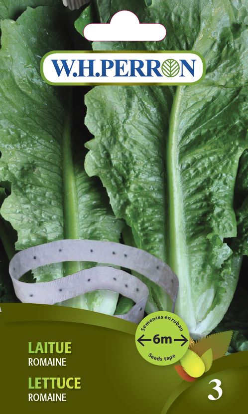 VEGETABLE SEEDS: ROMAINE LETTUCE ON A TAPE