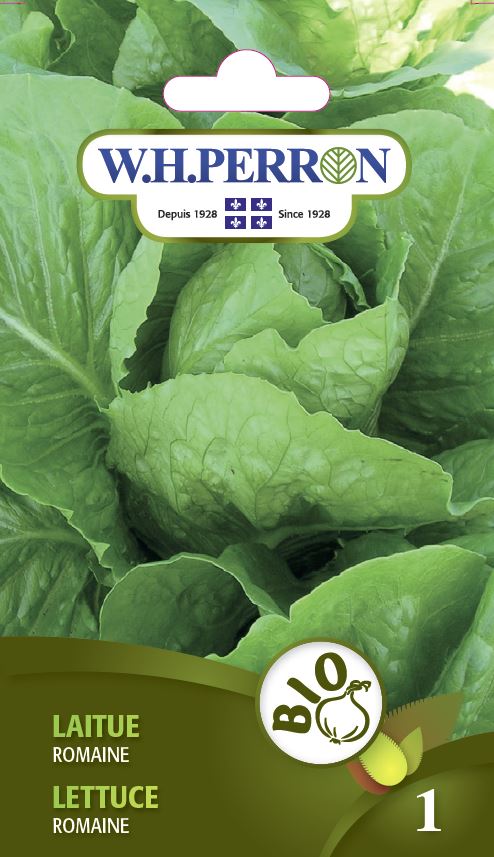 ORGANIC VEGETABLE SEEDS: ROMAINE LETTUCE