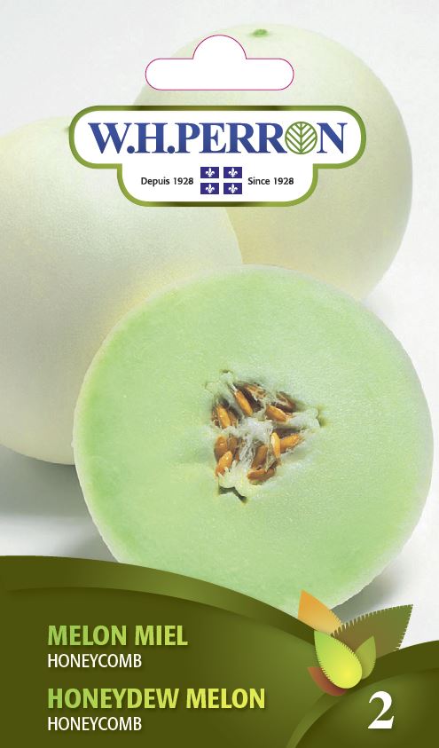 SEMENCES DE LEGUMES: MELON MIEL - HONEYCOMB