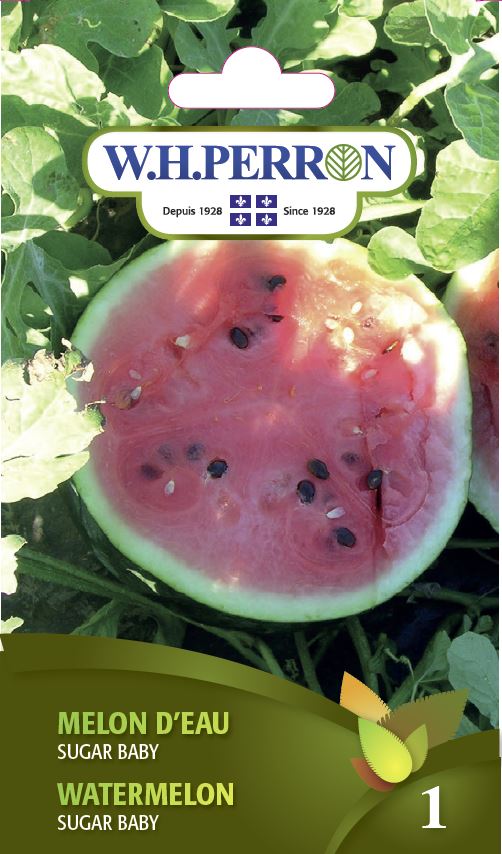SEMENCES DE LEGUMES: MELON D'EAU - SUGAR BABY