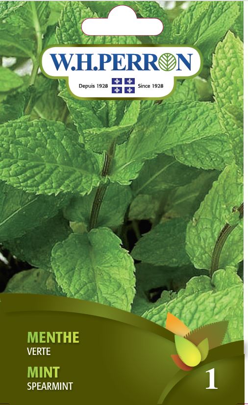 HERB SEEDS: MINT - SPEARMINT