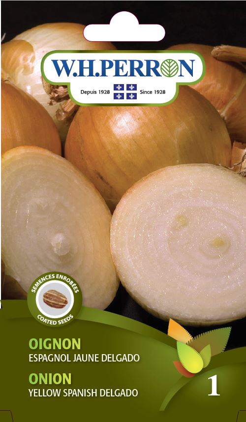SEMENCES DE LEGUMES: OIGNON - ESPAGNOL JAUNE DELGADO