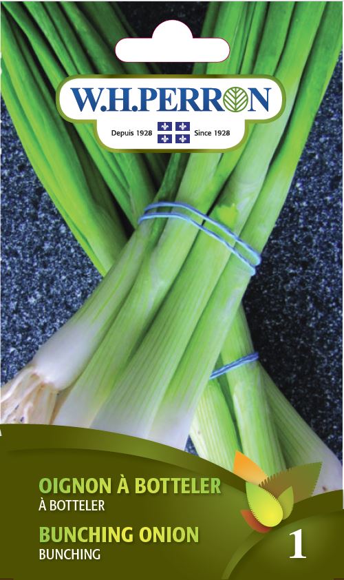 SEMENCES DE LEGUMES: OIGNON A BOTTELER