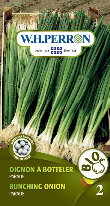 SEMENCES DE LEGUMES BIO: OIGNON A BOTTELER - PARADE
