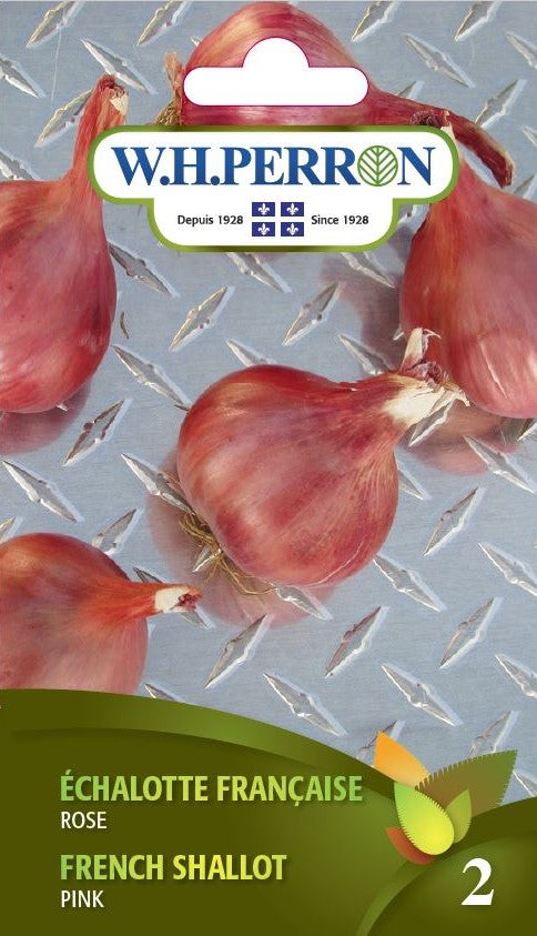 SEMENCES DE LEGUMES: ECHALOTE FRANCAISE - ROSE