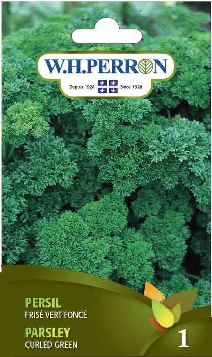 SEMENCES DE FINES HERBES: PERSIL - FRISÉ VERT FONCÉ