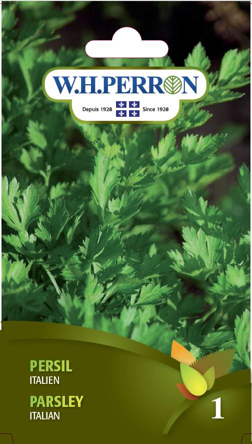 SEMENCES DE FINES HERBES: PERSIL - ITALIEN