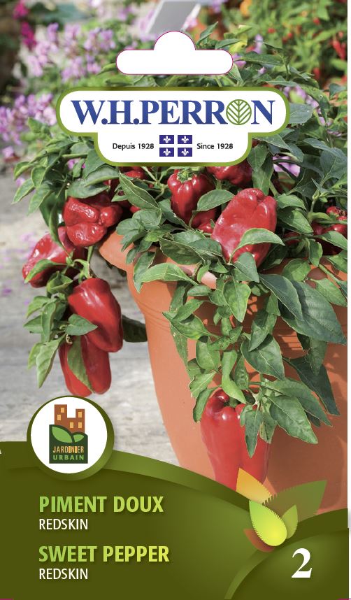 VEGETABLE SEEDS: SWEET PEPPER - REDSKIN