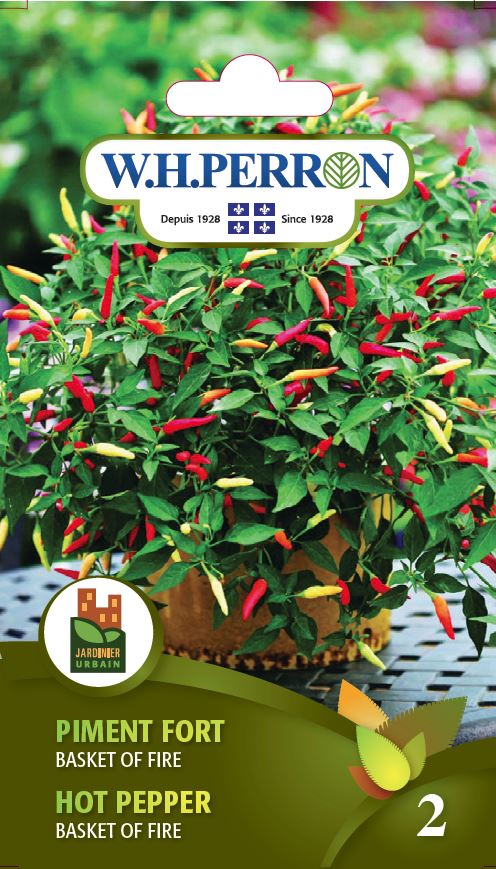 VEGETABLE SEEDS: HOT PEPPER - BASKET OF FIRE