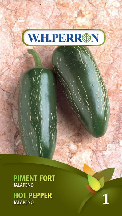 SEMENCES DE LEGUMES: PIMENT FORT - JALAPENO