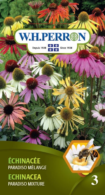FLOWER SEEDS: ECHINACEA - PARADISO MIX