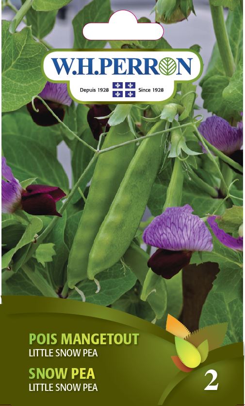 VEGETABLE SEEDS: SUGAR SNAP PEAS - LITTLE SNOW PEA