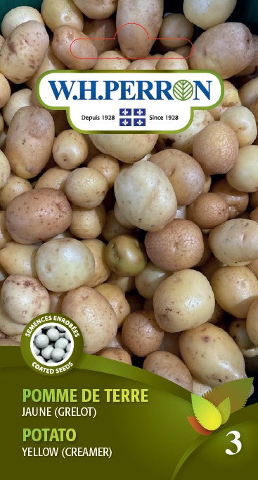 VEGETABLE SEEDS: POTATO - YELLOW (FINGERLING)
