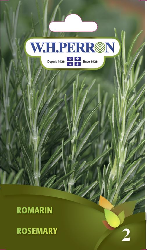 FINE HERB SEEDS: ROSEMARY